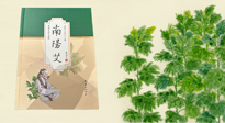 【行業(yè)資訊】國內(nèi)首部艾草專著《南陽艾》，在南陽新書首發(fā)！